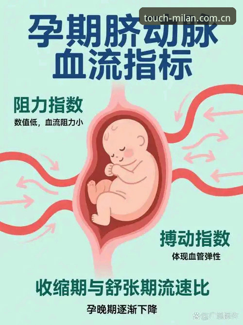最新米兰体育指数波动 最新米兰体育指数波动深度解析:从触控体验到数据决策的全面考量
